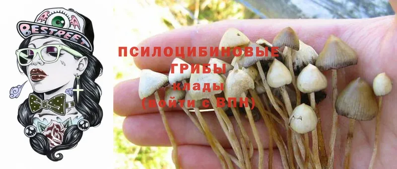 Псилоцибиновые грибы Cubensis  гидра рабочий сайт  Белово  где найти  